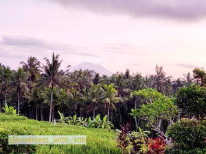 Bali - Ubud 2024 with SG