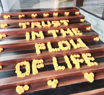 Trust the Flow of Life